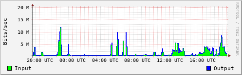 Network Activity