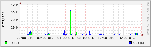 Network Activity