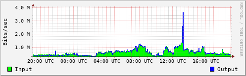 Network Activity