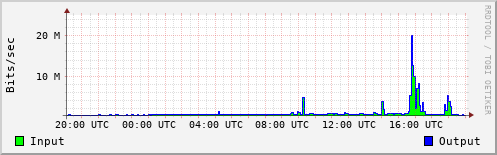 Network Activity