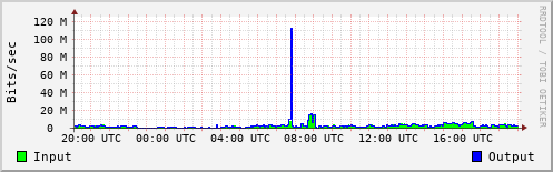 Network Activity