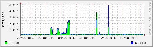 Network Activity