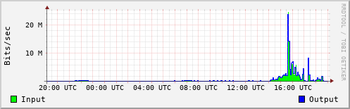 Network Activity
