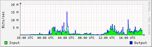 Network Activity