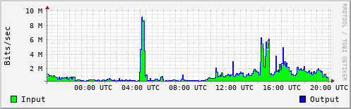 Network Activity