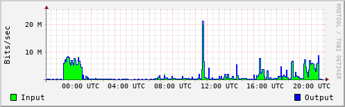 Network Activity