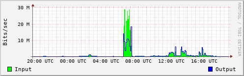 Network Activity
