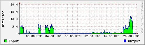 Network Activity