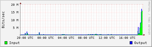 Network Activity