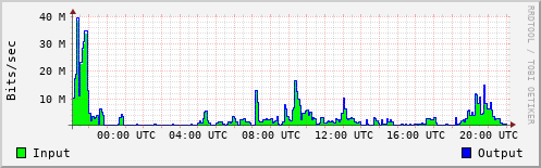 Network Activity