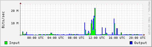Network Activity