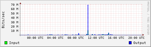 Network Activity