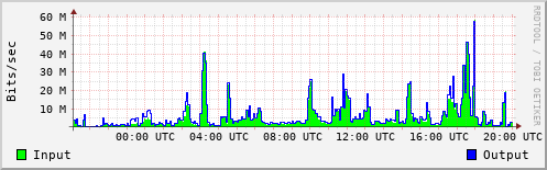 Network Activity