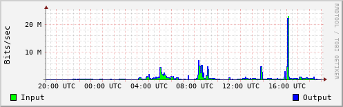 Network Activity