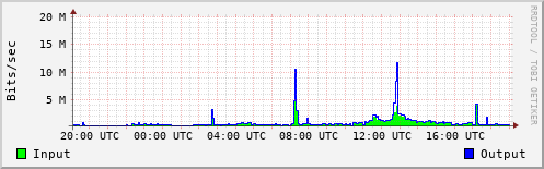 Network Activity