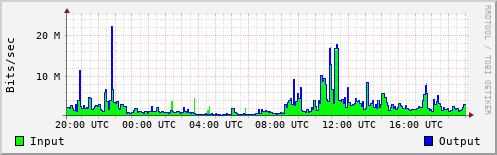 Network Activity