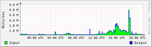 Network Activity