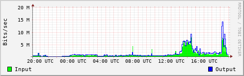 Network Activity