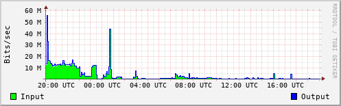 Network Activity