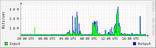 Network Activity