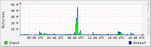 Network Activity