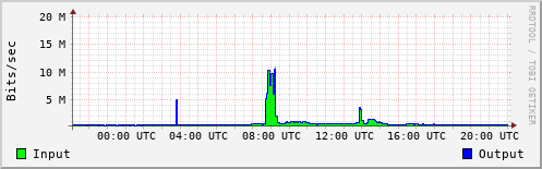 Network Activity