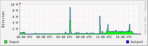 Network Activity