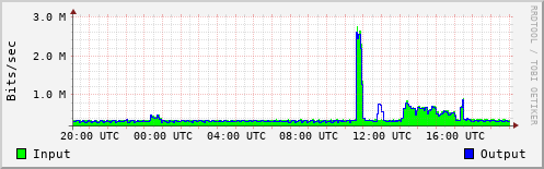 Network Activity