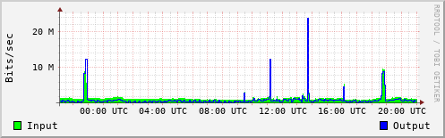 Network Activity