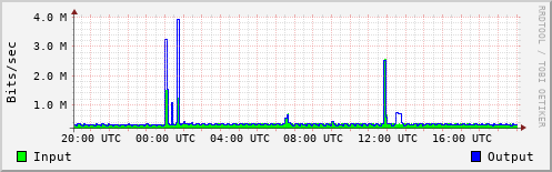 Network Activity