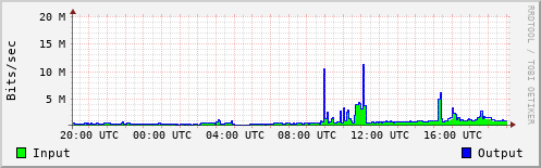 Network Activity