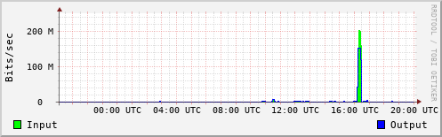 Network Activity