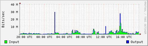 Network Activity