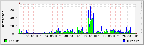 Network Activity