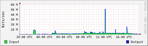 Network Activity