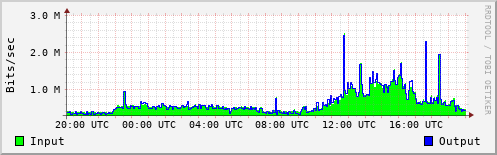 Network Activity