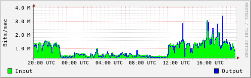 Network Activity