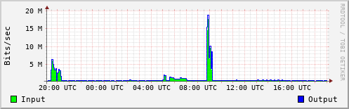 Network Activity