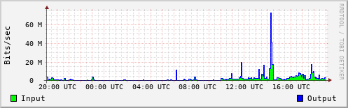 Network Activity