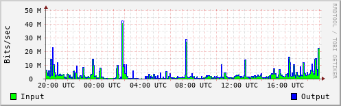 Network Activity