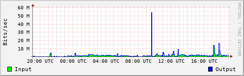 Network Activity