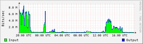 Network Activity