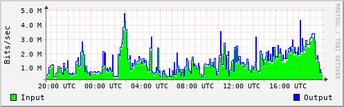 Network Activity