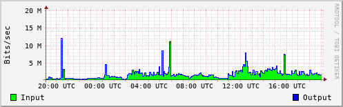 Network Activity