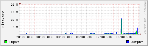 Network Activity