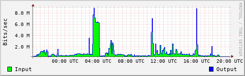 Network Activity