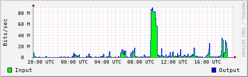 Network Activity