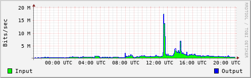 Network Activity