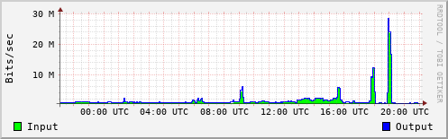 Network Activity