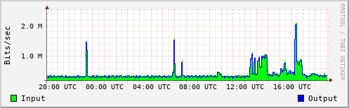 Network Activity